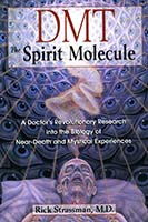 DMT : the spirit molecule