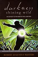Darkness shining wild : an Odyssey to the heart of Hell & beyond ; meditations on sanity, suffering, spirituality, and liberation