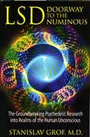 LSD : doorway to the numinous : the groundbreaking psychedelic research into realms of the human unconscious